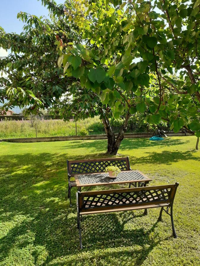 Chrysafis Apartments Vrasná Екстериор снимка