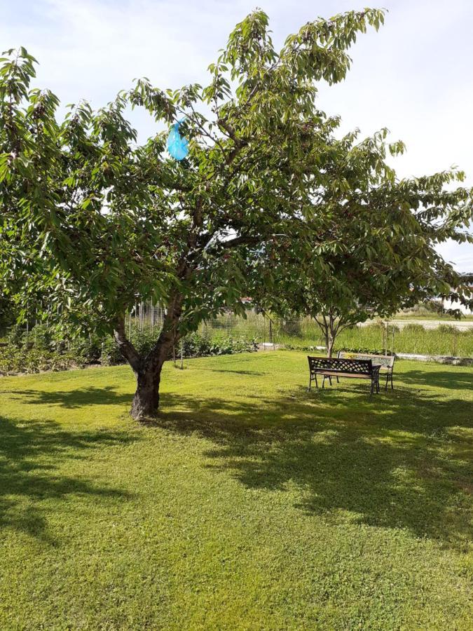 Chrysafis Apartments Vrasná Екстериор снимка